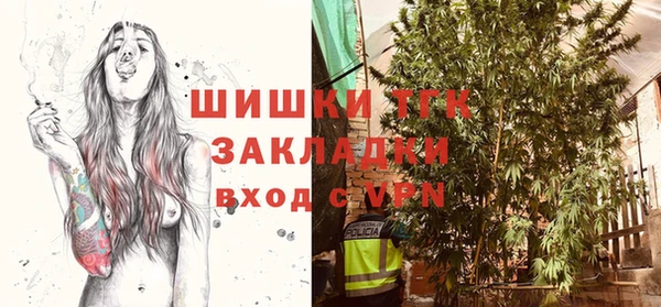 крисы Белоозёрский