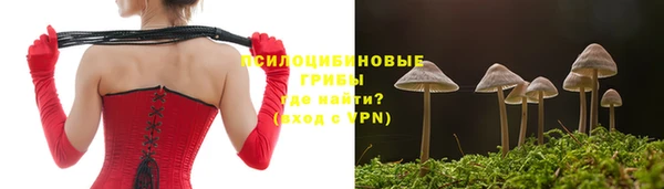 крисы Белоозёрский