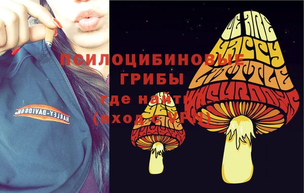mdpv Белокуриха
