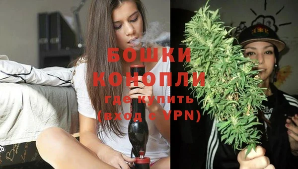крисы Белоозёрский