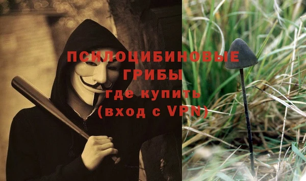 mdpv Белокуриха
