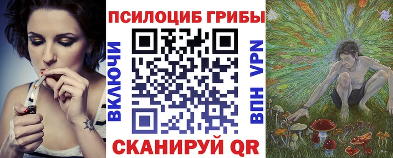 купить наркоту  Первоуральск  Псилоцибиновые грибы Psilocybe 